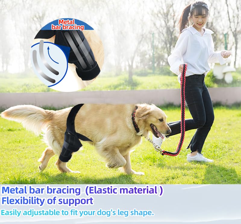 S Dog Leg Braces for Back Leg for Support with Cruciate Ligament Injury-Better Recovery with Dog Knee Brace for Torn Acl Hind Leg-Adjustable Hip Dysplasia Dog Acl Brace Hind Leg Rear