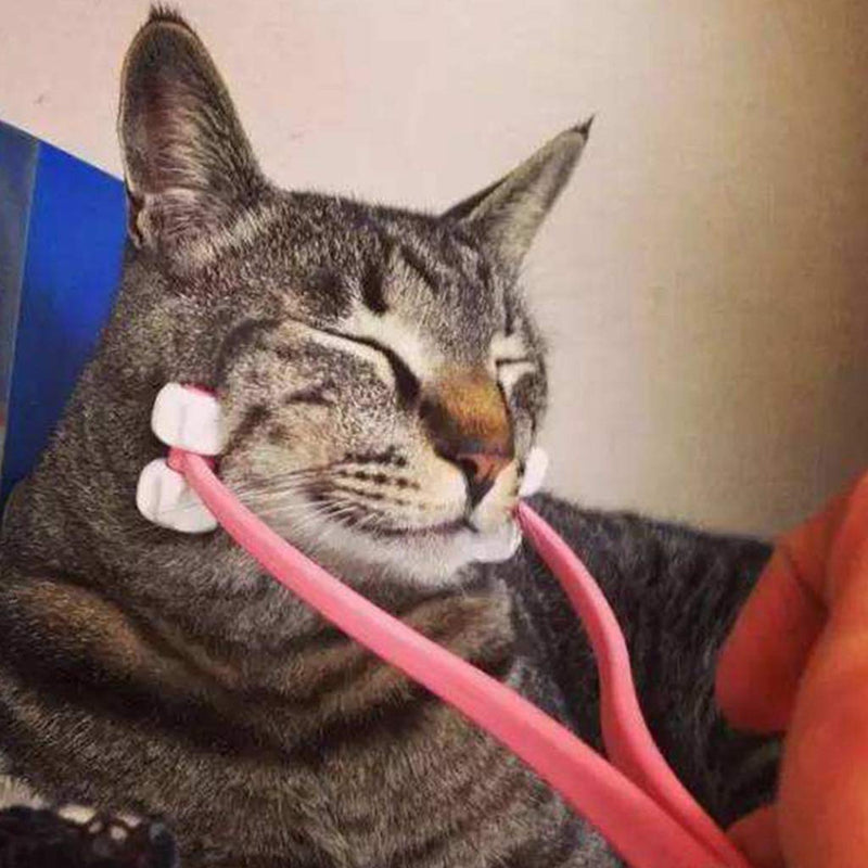 Facial massager for cats, pet facial massager, roller, cat grooming tool with 4 wheels, non-slip, comfortable, mold cleaner for tile molds, paint for wall molds spray