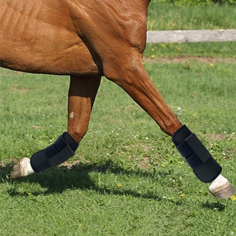 Horse Boots 4 - PawsPlanet Australia