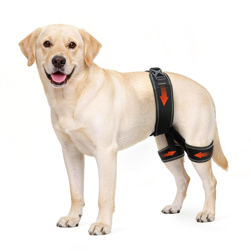 CHAMIN Dog Hip Brace for Hip Dysplasia – Adjustable Support Harness for Dogs, Relieves Joint Pain & Arthritis, Stabilizes Back Legs, Prevents Hip Issues, Orthopedic Support(L) Large