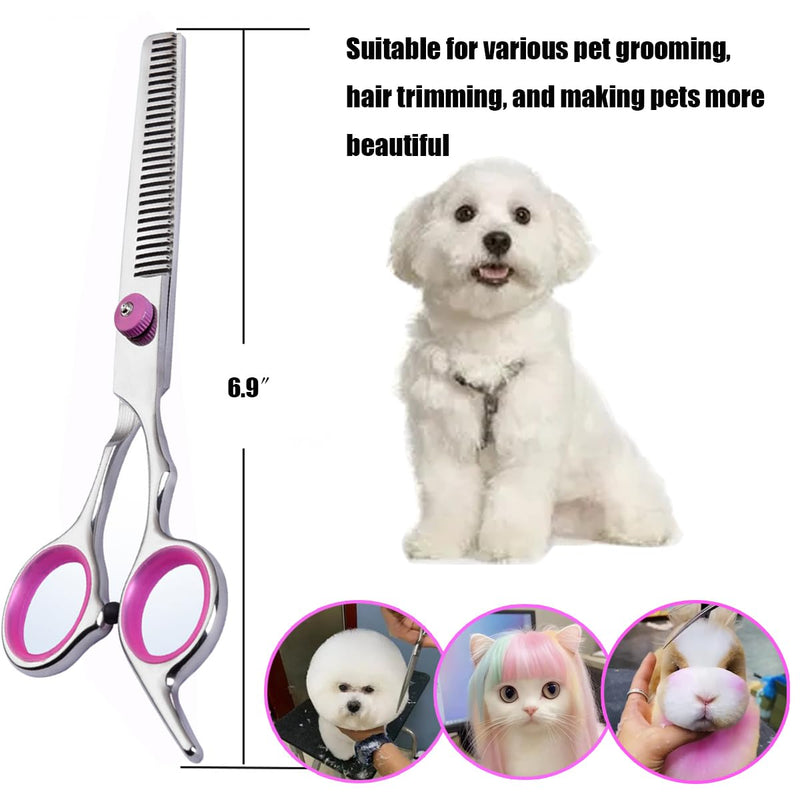 Dog Grooming Scissors,Pet Hair Scissors with Safety Round Tips Heavy Duty Titanium Stainless Steel Professional Dogs Cats Pets Grooming Shears (Teeth clipper) Teeth clipper - PawsPlanet Australia
