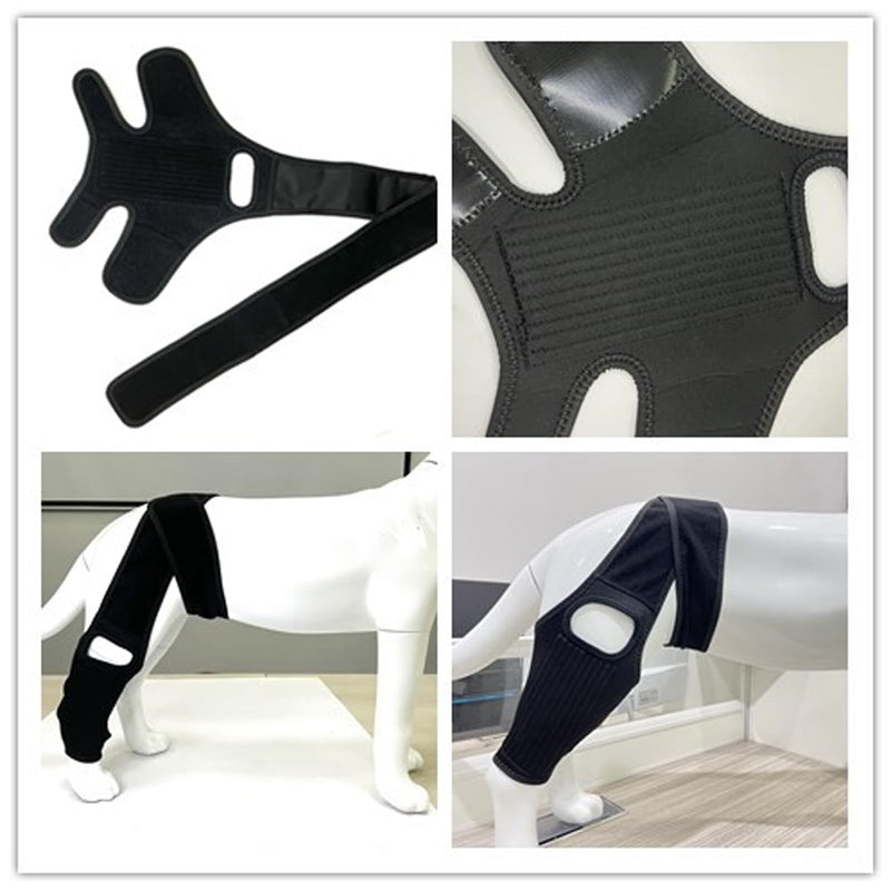 2024 Upgraded Dog Hip Brace Large Breed Dog Knee Brace- Dog Acl Brace Hind Leg & Joint Relief - Dog Leg Braces - Back Leg for Support (M) Medium - PawsPlanet Australia