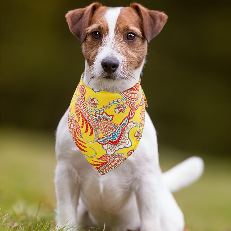 30 Pcs Paisley Bandanas for Dog Cats Polyester Print One Side Bandana Bulk for Small Middle Dogs Breed Reversible Triangle Bandana Girl Boy Grooming M 30Pcs Paisley -Medium - PawsPlanet Australia