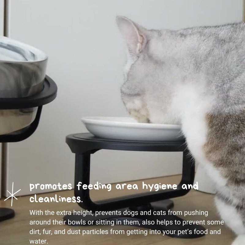 Adjustable Raised Cat Food Bowl, Tilted Elevated Bowl (2-Pack, Black) 2-Pack - PawsPlanet Australia