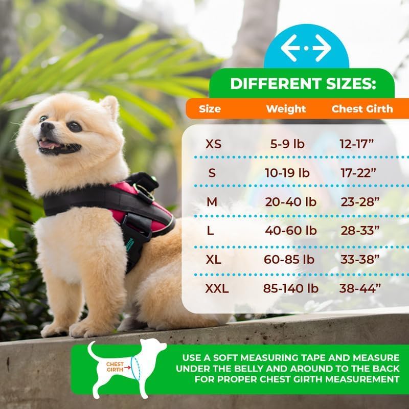 Joyride Harness Summer Mesh Vest – 2.0 No Pull Dog Harness - Adjustable, Breathable Vest - Custom Name Tag Included - Perfect for Small, Medium & Large Dogs Rose Red X-Large - PawsPlanet Australia