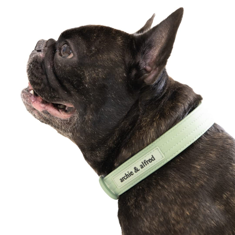 Heavy Duty Adjustable Dog Collar | Odor Proof and Easy to Clean | Made with a Comfortable Fabric and Metal Hardware | archie & alfred (Size Medium) Green - PawsPlanet Australia