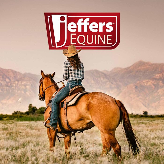 Jeffers Equine Citronella Aloe Horse Shampoo – pH Balanced, All Natural, Deodorizing Wash for Horses, Pony, Foals – Natural Citrus Scent – Gentle Grooming for Soft Coat, Tail & Mane – 16 oz 16oz - PawsPlanet Australia