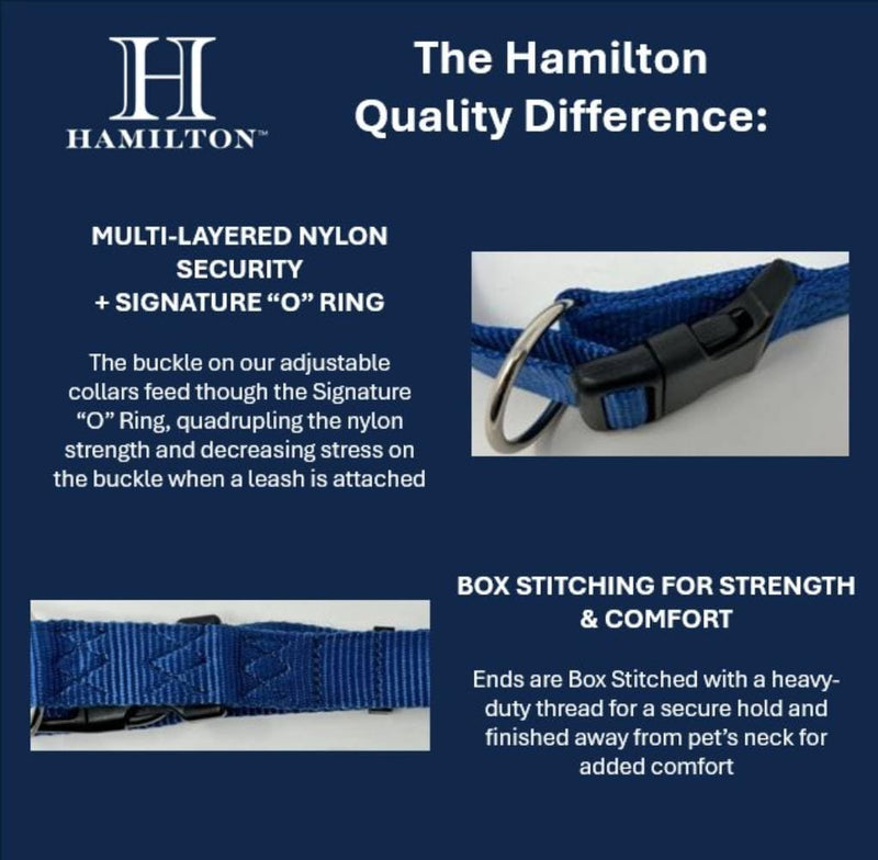 Hamilton Adjustable Nylon Dog Collar, Blue Bandana Ribbon Overlay, Small/Medium