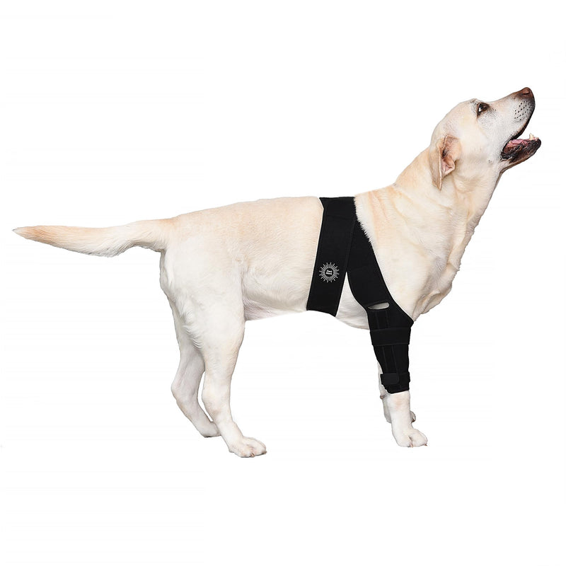 Large Breathable Dog Knee Brace for Torn ACL Legs - Easy to Use, Neoprene Dog Leg Braces for Back Leg - ACL Brace for Dogs, Helps Reduce Pain and Heal Injuries - PawsPlanet Australia