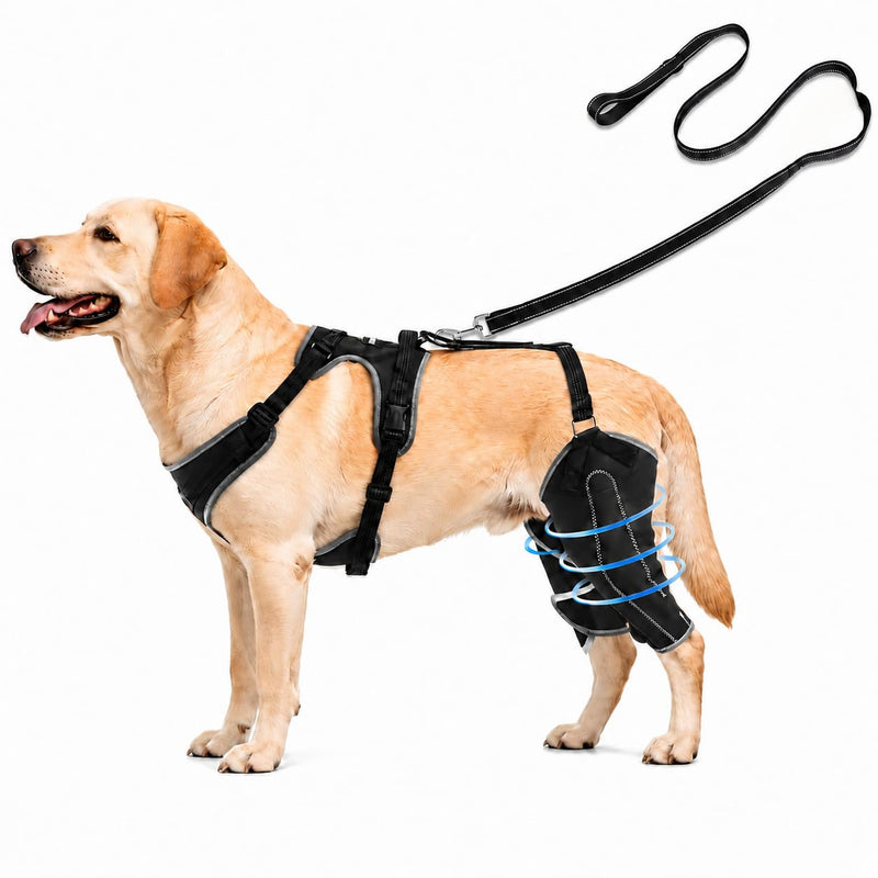(M Dog Rear Leg Brace with Safety Harness and Leash, Adjustable Hind Leg Knee & Hip Support Wrap for Senior Dogs, Removable Straps for Weak Back Legs, Arthritis or Hip Dysplasia Support (M)