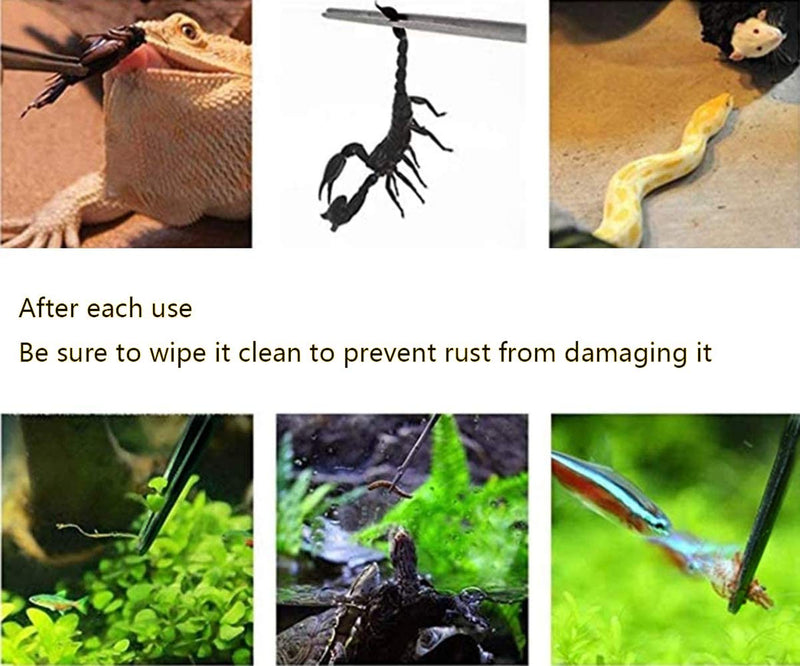 MRTIOO Reptile Stainless Steel Long Tweezers Feeding Tongs, Lizards Snake Gecko and Tarantula Supplies, Aquarium Fish Tank Tools - Black 2Pcs - PawsPlanet Australia