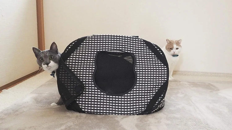 Necoichi Stress-Free Cat Travel Carrier Collapsible Gray White for 2 Cats, for Indoor Cats Small Medium Large Cats(Black) - PawsPlanet Australia