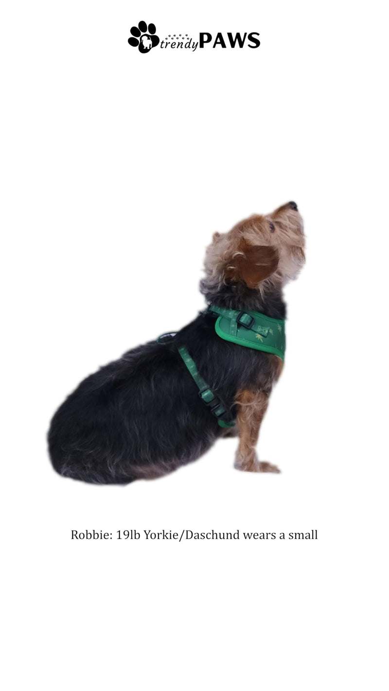 TrendyPaws Dog Harness, Collar and Leash Set, Breathable Mesh, S/M/L Sizes (Emerald, Small) Emerald - PawsPlanet Australia