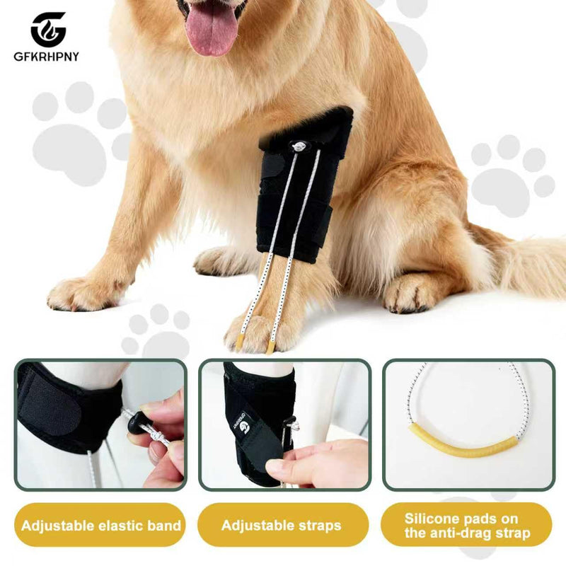 Dog Front Leg Support Brace for Foot Drop, Canine Knuckling Prevention, Toe Dragging Assistance L