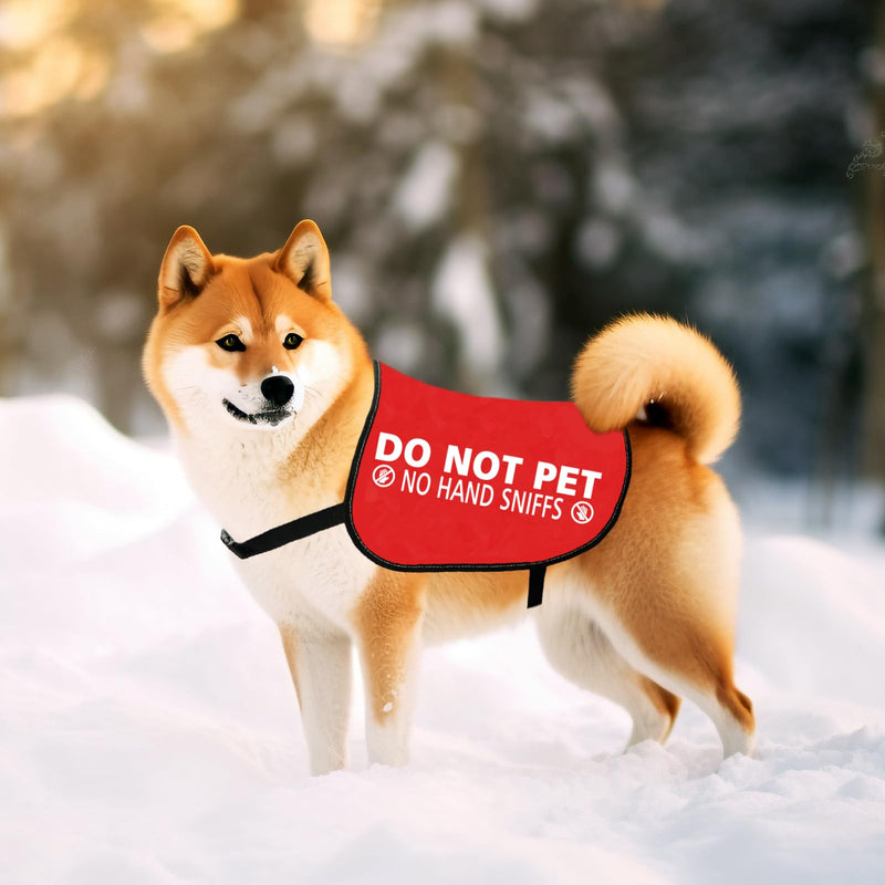 JXGZSO Nervous Anxious Dog Slogan Warning Vest Do Not Pet No Hand Sniffs Dog Jacket Vest (No hand sniffs L) No hand sniffs L - PawsPlanet Australia