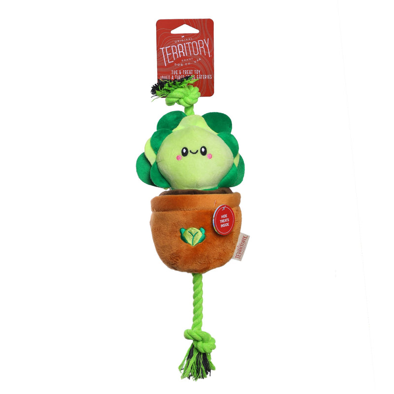 Territory Lettuce Treat-and-Tug Dog Toy