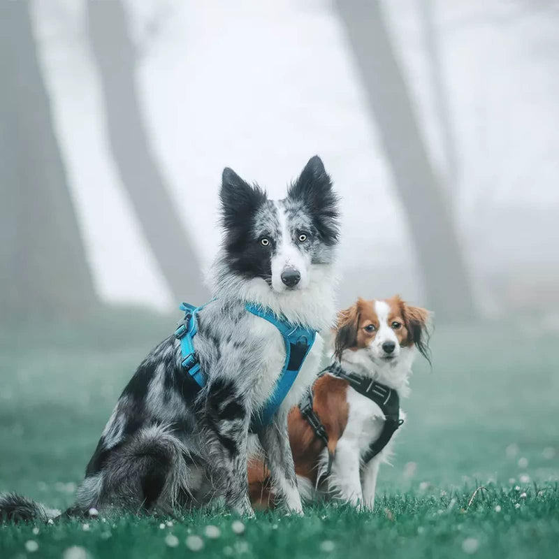 TRUE LOVE Truelove Adjustable No-Pull Dog Harness Reflective Pup Vest Harnesses Comfortable Control Brilliant Colors TLH5651(Blue,L) L Blue - PawsPlanet Australia