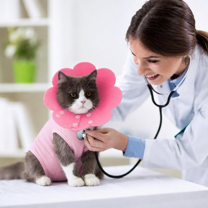WALLFID Cat Surgical Body with Cat Neck Cone, Recovery Suit after Surgery for neutered, injured, sore-licking and skin-problem cats (M) M