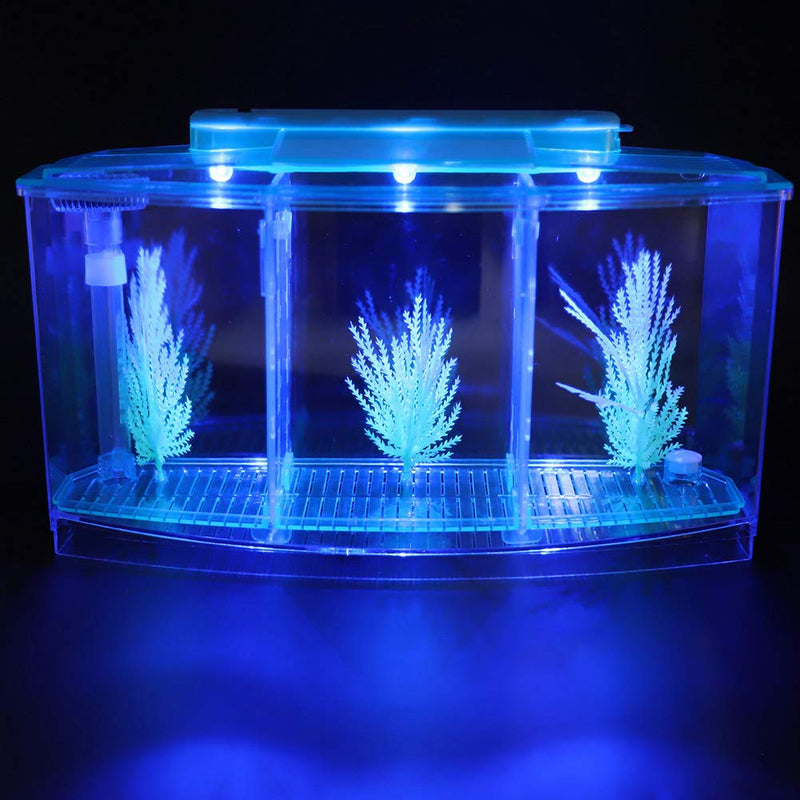 Acrylic Fish,Bowl, Aquarium Fish LED Acrylic Three Divisions Breeding Isolation Box for Small Fishes (Blue) Blue