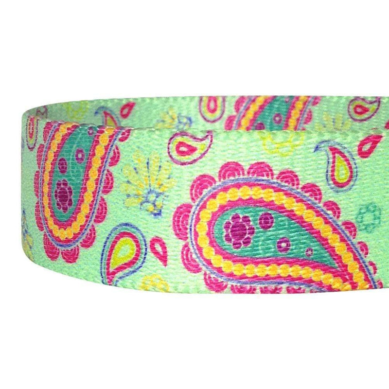 Blueberry Pet 5 Colors Paisley Flower Print Dog Leash with Soft & Comfortable Handle, 5 ft x 3/4", Emerald Green, Medium, Leashes for Dogs 5' * 3/4" (Pack of 1) - PawsPlanet Australia