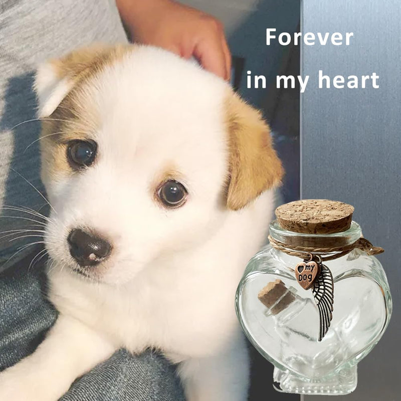 Memorial Bottle for Pet Hair, Lock of Hair Keepsake, Pet Urns for Dogs, Pet Memorial Gifts for Loss of Dog, transparent, JAR001