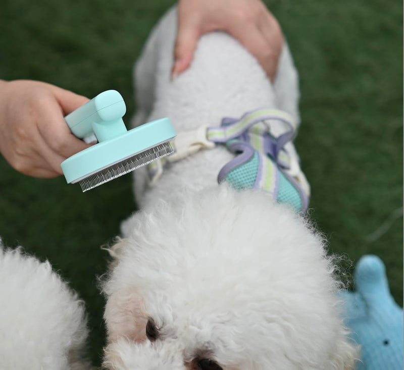Self cleaning hair removal brush - a skin friendly beauty tool suitable for dogs, cats, and puppies, with a round head design that prevents scratches and is green in color - PawsPlanet Australia