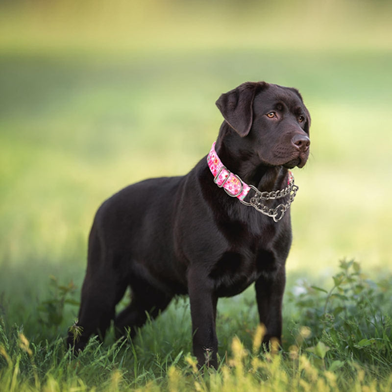 Martingale Dog Collar for Medium Dogs,Choker Collar for Dogs,Training Escape Proof Heavy Duty Dog No Pull Dog Collar for Medium Large Pet Boy Male Dogs, Pink Floral M M(Neck 15-20") - PawsPlanet Australia