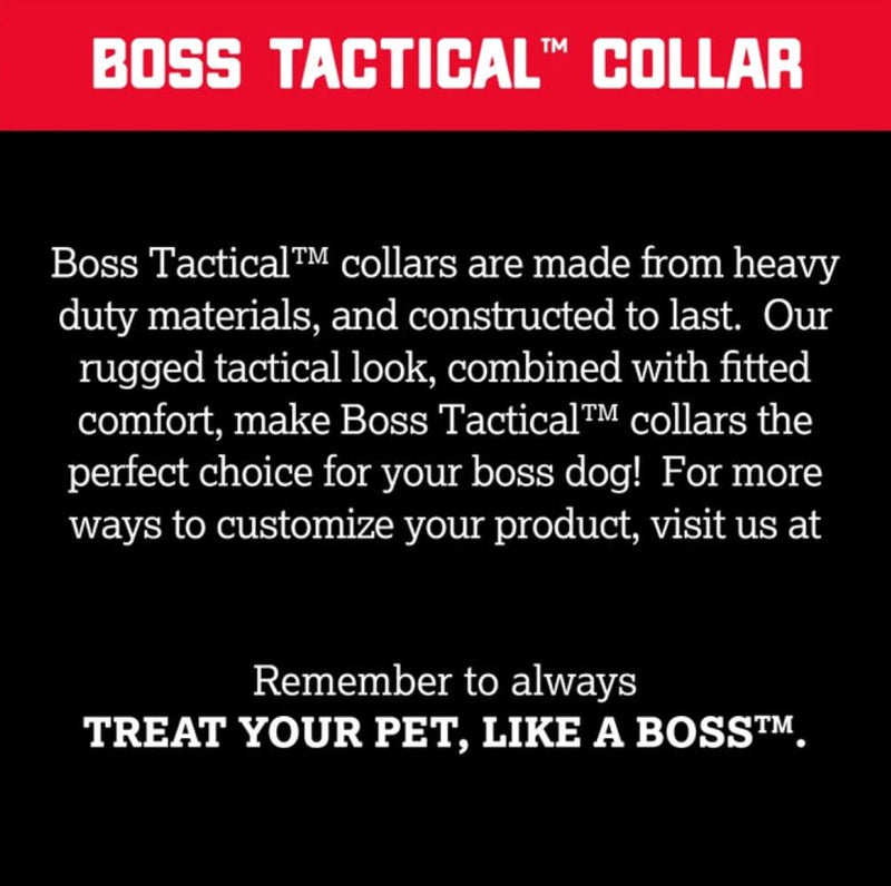 Boss Dog Tactical Collar, Hunter Orange, X-Large