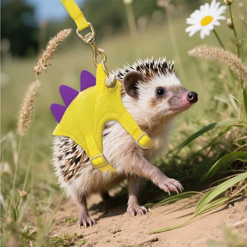 Yellow Dinosaur Hedgehog Leash and Harness Ferret Harness and Leash Set Hedgehog Accessories Adjustable Hamster Clothes Guinea Pig Outfits for Training Playing - PawsPlanet Australia