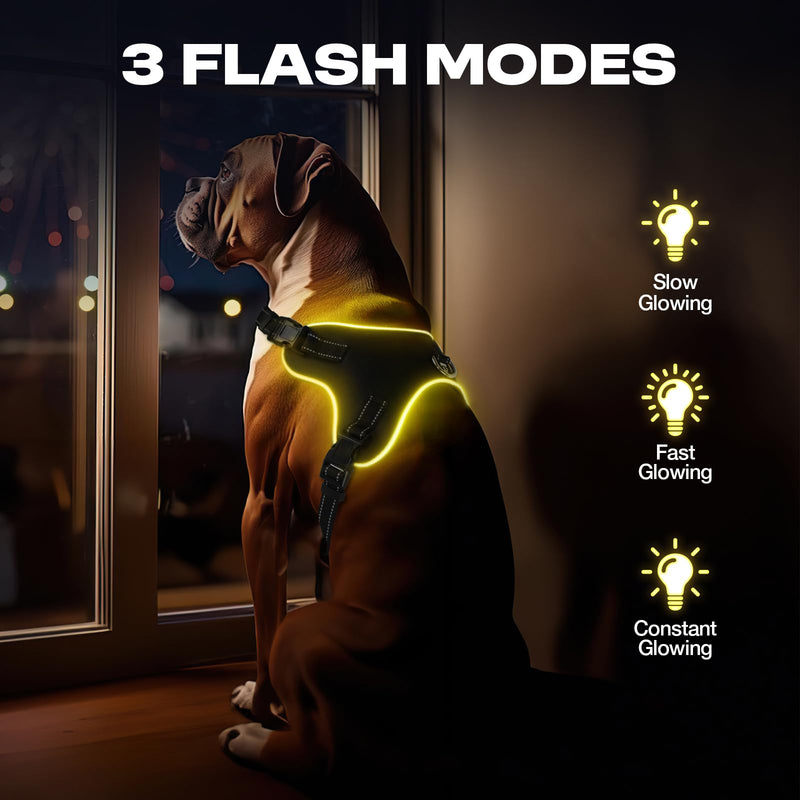 Light Up Dog Harness No Pull Dog Harness Rechargeable Lighted Pet Vest Harness for Night Walking, Reflective Dog Vest Glow Dog Collar, Adjustable Soft Padded Leash, 7 Colors Changing, 3 LED Modes (S) S - PawsPlanet Australia