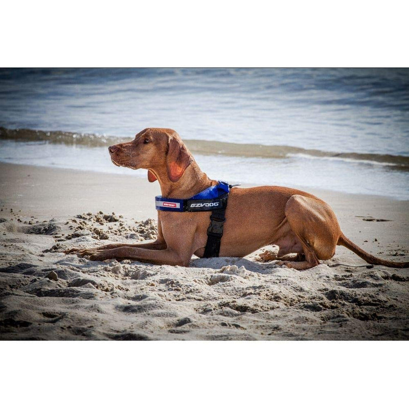 EzyDog Express Dog Harness - Streamlined Sport Harness Easy Single Buckle On-Off Red XXL