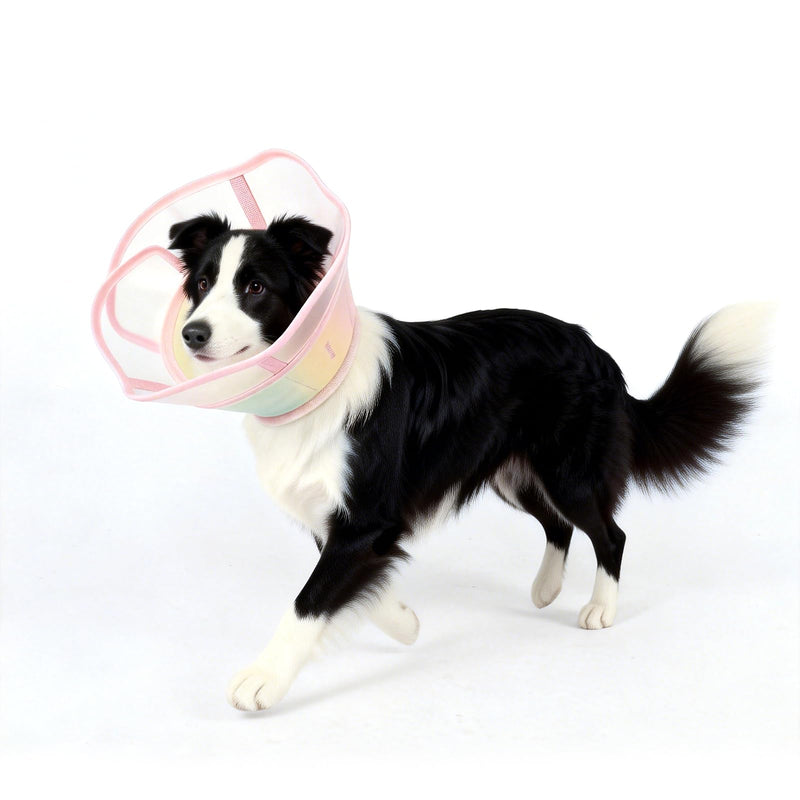 Soft Dog Cone Collar, Waterproof and Foldable Elizabethan Collar for Dogs After Surgery, No Leak Recovery E-Collar, Comfortable Protective Cone Alternative for Large Dogs (Pink, XS) Pink