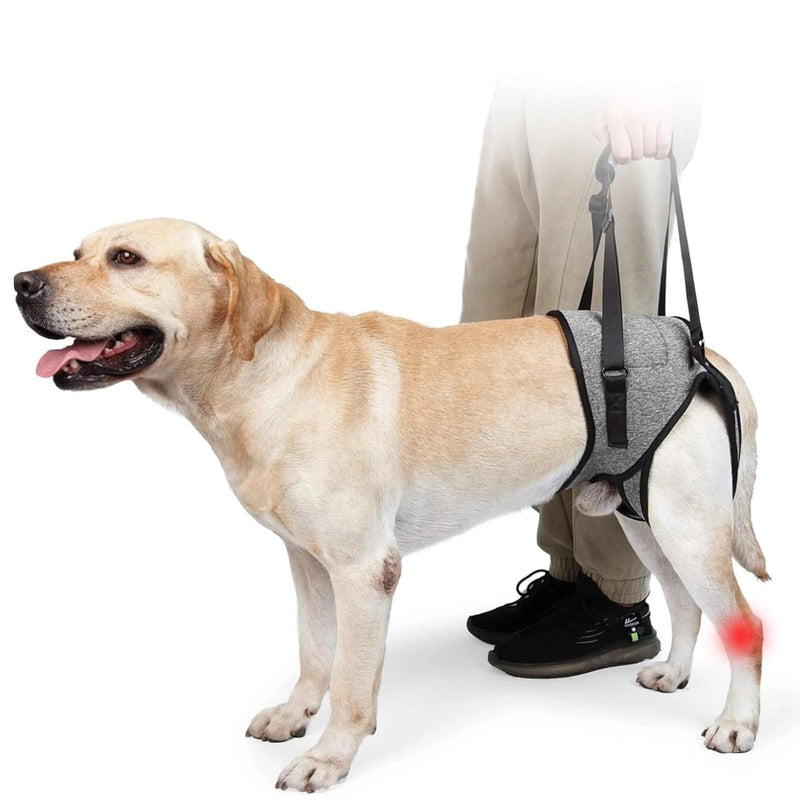 Dog Lifting Harness, Adjustable Emotional Support Dog Harness, Soft Dog Support Harness for Back Legs, Portable Dog Harness with Lift Sponge Handle for Elderly Disabled Joint Dogs L