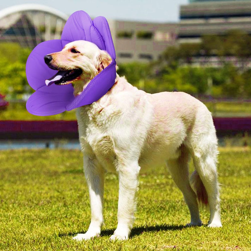 POPETPOP Small Dog Recovery Collar - Cute Cat Flower Neck Cone After Surgery, Adjustable Pet Collar, Surgery Recovery Elizabethan Collars for Small Pets (Purple, M) Medium Purple - PawsPlanet Australia