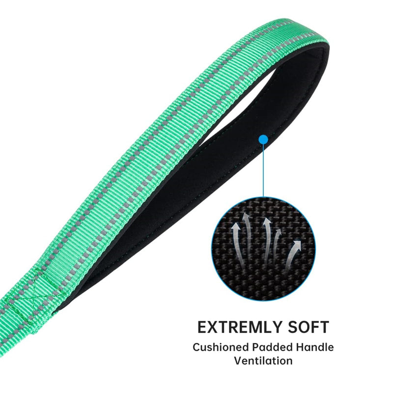 EXCELLENT ELITE SPANKER Strong Durable Nylon Dog Training Leash Traction Rope 4 Feet Long 3/4" Wide with Handle for Small Dogs(Green) 4.3ft x 3/4 in. Green - PawsPlanet Australia