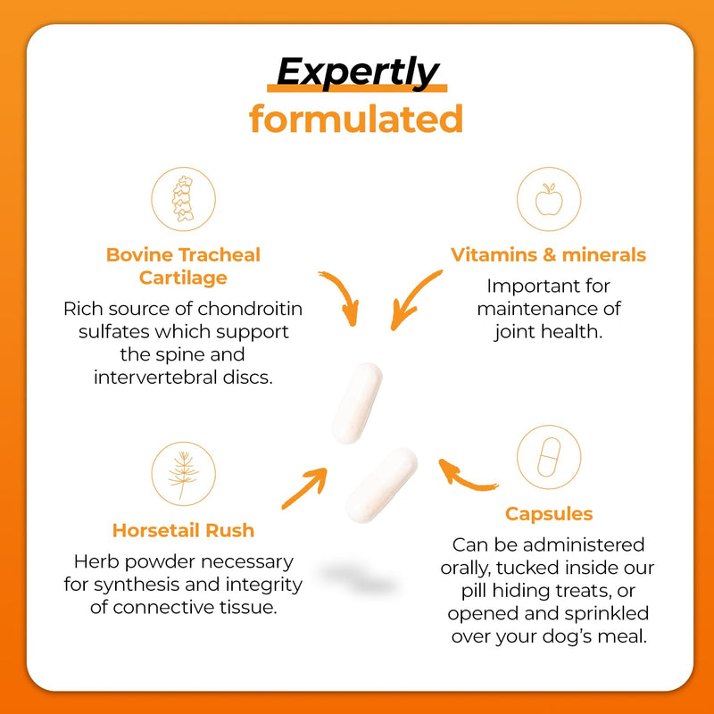 VetriScience Healthy Spine & Disc Easy-Open Capsules, Back & Spinal Support Chondroitin & Taurine Supplement for Dogs, Perfect for Dachshunds, Corgis, Frenchies & More, 180 Count 180 Tablets for All Dogs Capsule - PawsPlanet Australia
