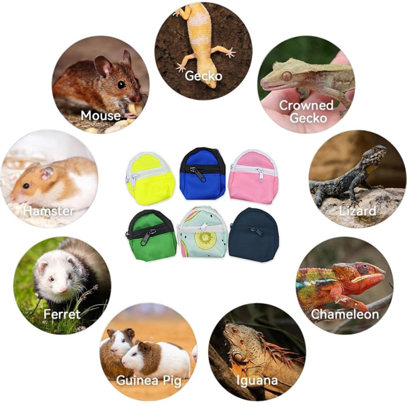 Bearded Dragons Harness Leashes Set Cute Backpack Back to School Design for Small Pets Reptile Lizard Crested Gecko Chameleon Rat Hamster Squrriel Ferret Photo Shoot (Green) Green - PawsPlanet Australia