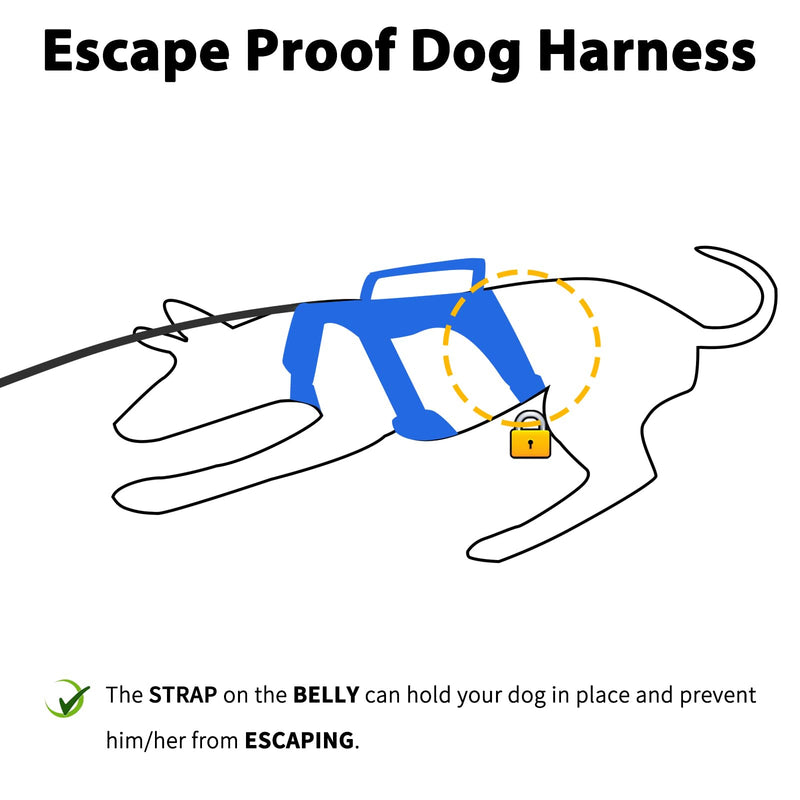 Huntboo Escape Proof Dog Harness, Escape Artist Harness, Reflective Dog Harness with Handle, Durable,Adjustable Vest for Small Medium Large Dogs Walking, Training, and Running Gear(Sea Blue,S) Small(Pack of 1) Sea Blue - PawsPlanet Australia