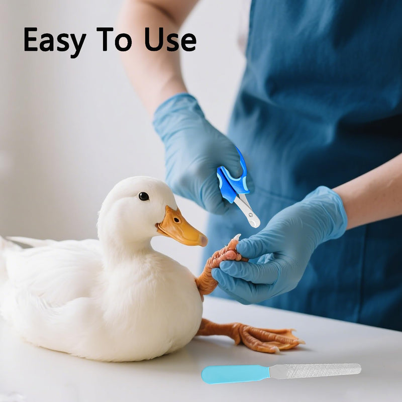 Call Duck Nail Clippers with Nail File，Stainless Steel Call Duck Chicken Hen Roster Goose Toe Nail Clippers Professional Grooming Pet Tool for Small Breed Animals - PawsPlanet Australia