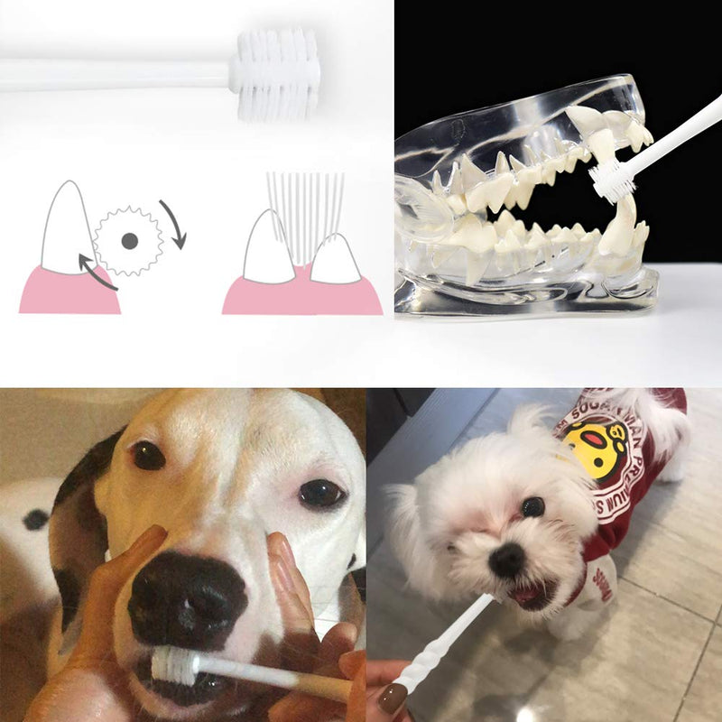 FinYii 360-Degree Soft Yorkie Toothbrush, Small Dogs Puppy Toothbrush (Colors Varie) - PawsPlanet Australia