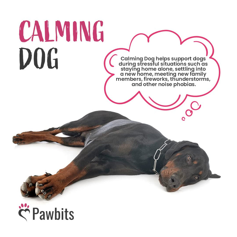Pawbits 60 Calming Tablets Supplement for Anxious & Hyperactive Dogs Calms Relaxes & Non-Sedative Dog Calming Tablets Fireworks, Behavioural Issues, Travel & Vet Visits Natural Calm Aid (60 Tablets) 60 Tablets - PawsPlanet Australia