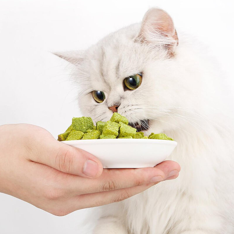 50g cat grass treats to help remove hairballs. Say goodbye to hairballs. Functional. Improve your teeth's dental health. Snacks