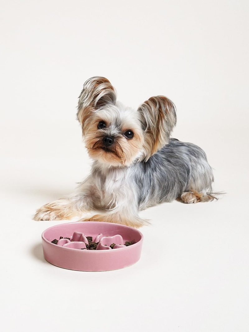 Ceramic Slow Feeder Dog Bowls Small Breed, 0.5 Cups Dog Food Dish for Fast Eaters, Puzzle Bowl for Small Dogs and Cats, 5.5 Inch-Pink Pink - PawsPlanet Australia