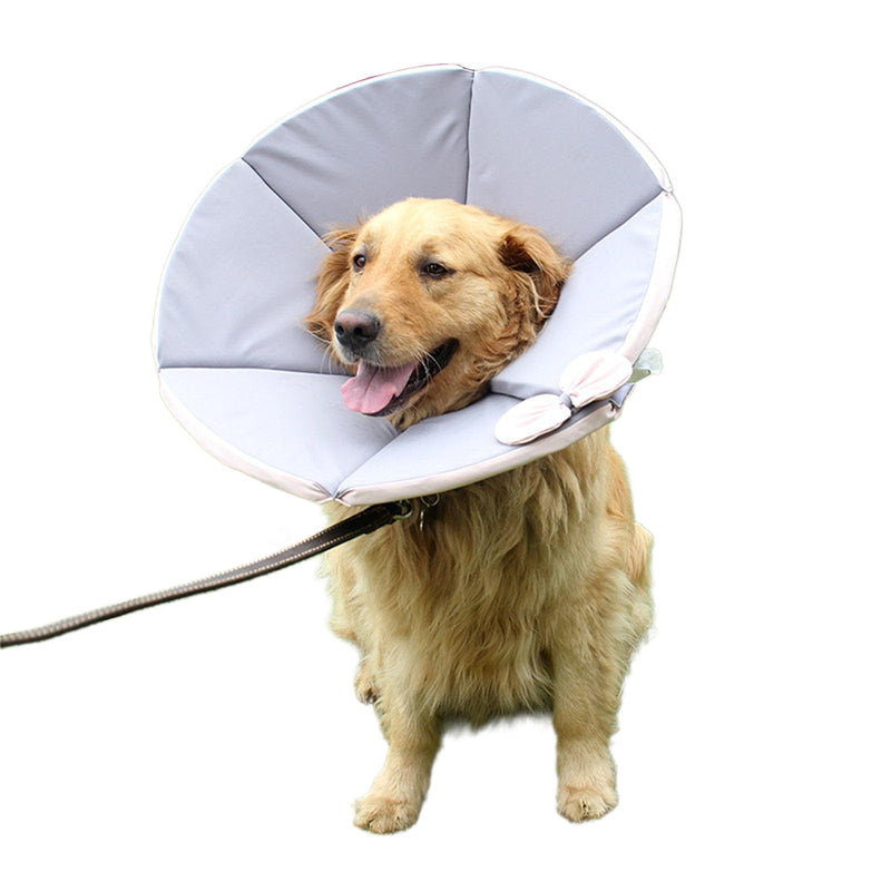 Protector Pet Recovery Holder