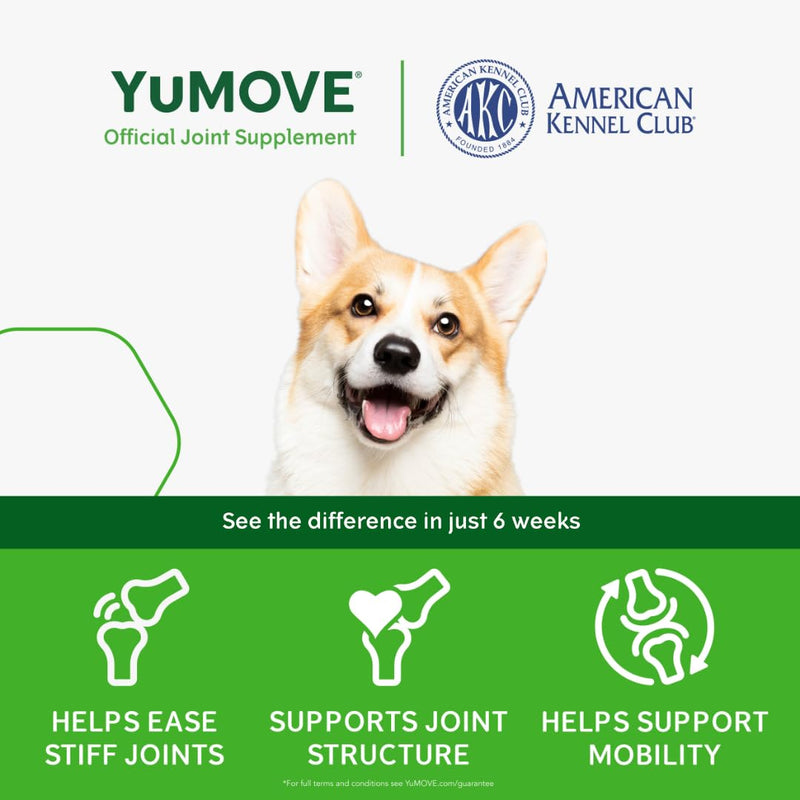 YuMOVE Daily Chews | Hip and Joint Supplement for Small & Medium Dogs with Glucosamine, Hyaluronic Acid, Green Lipped Mussel | 60 Chews - 1 Month's Supply