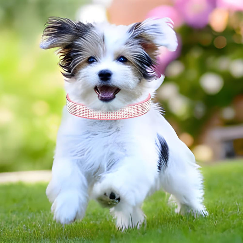 Rhinestone Dog Collar for Small Dogs, Bling Diamond Fancy Crystal Glitter Pretty Jewel Pet Puppy Collars for XXS XS Small Medium Large Breed Girl Dogs Female Cats Kitten, Colorful Pink S 1Colorful pink - PawsPlanet Australia