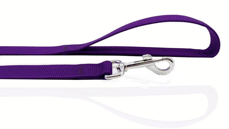 Nylon Dog Leash 4 Ft 5 Feet 6 Foot Long, Walking Training Dog Leashes for Medium Large Dogs, 1 Inch Wide (3/4" X 6 ft, Purple) 3/4" X 6 ft - PawsPlanet Australia