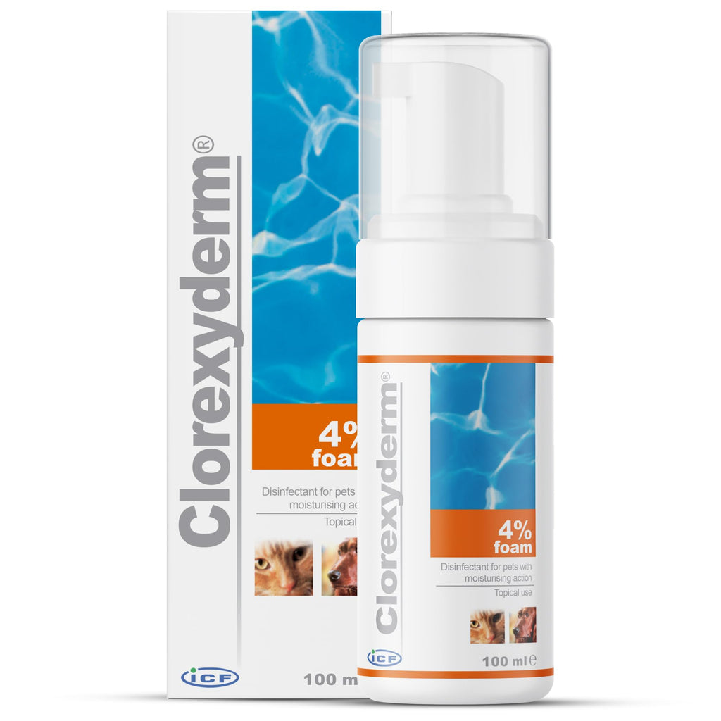 Clorexyderm 4% Foam Mousse - Dry Shampoo for Dogs & Cats - Antibacterial & Antifungal - Dry Itchy Skin Relief – Moisturises, Soothes & Softens Skin & Coat - Easy Alternative to Wet Bathing - 100 ml - PawsPlanet Australia