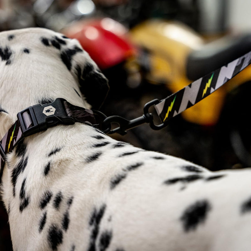 Wolfgang Heavy Duty Dog Leash, Pull-Tested to Over 800 lbs for Walking & Training, DarkSkies Print, Large - PawsPlanet Australia