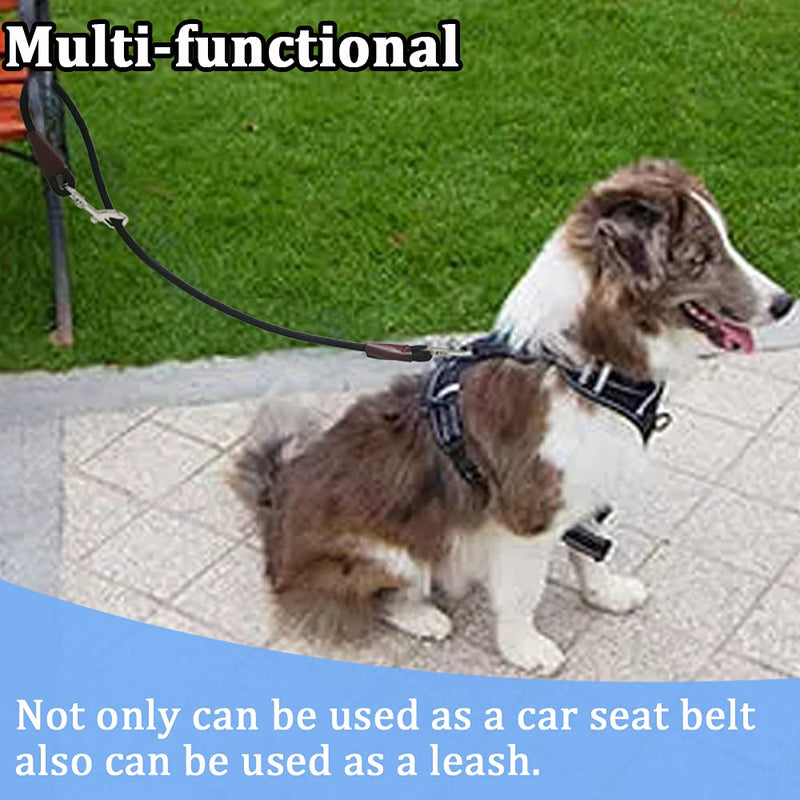 MayPaw Training Tie Down Short Dog Tie Indoor Tether Rope Dog Car Leash Seat Belt -5 Sizes Pet Vehicle Safety Restraint Lead for Small Medium Large Dogs 19.6 Inch/50 CM black - PawsPlanet Australia